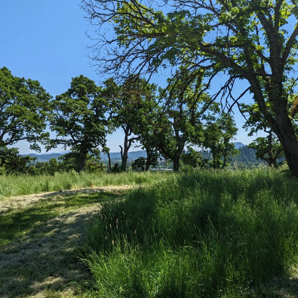 Gillespie Cemetery & Eugene City’s Bad Boy Riley&nbsp;Deadmond