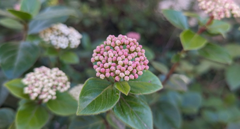 Poems of February&nbsp;2024